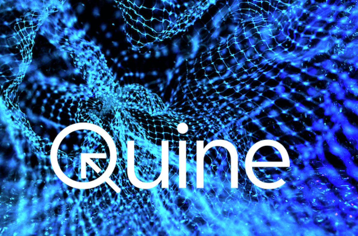 Quine in a net that represents streaming graph connectivity